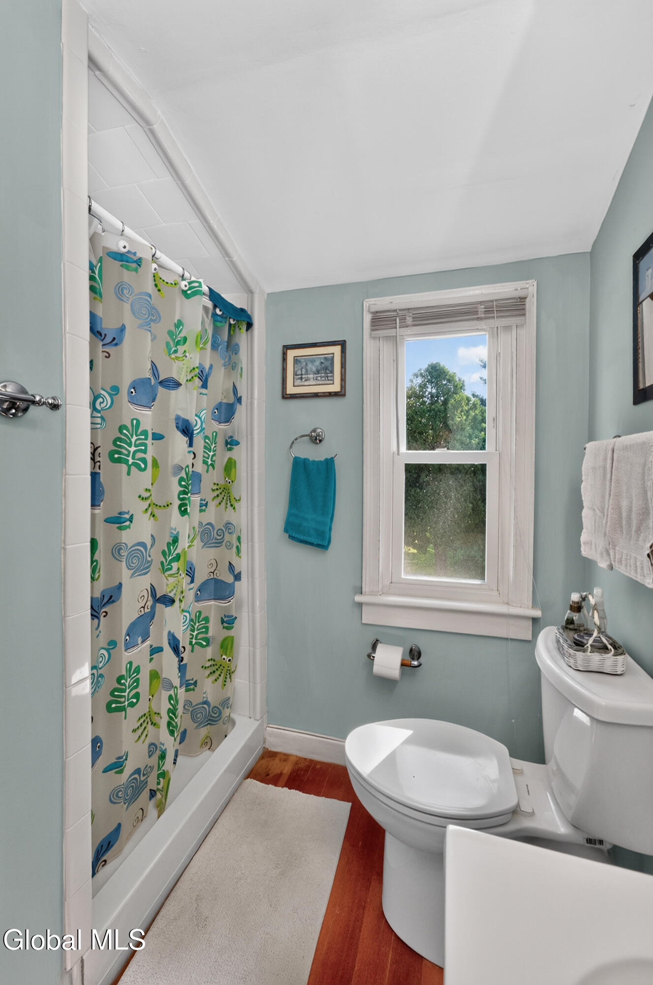 38 Pawling Avenue Mechanicville NY 12118