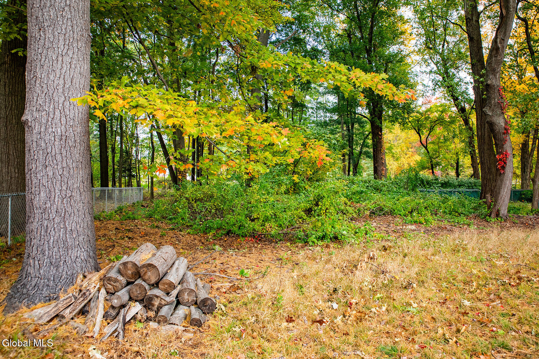 11 Melissa Court Albany NY 12205