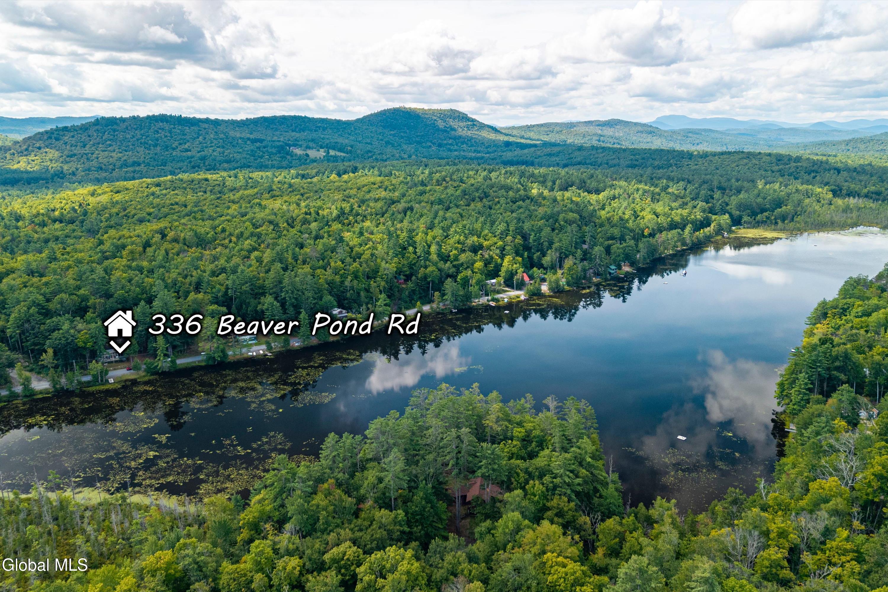 336 Beaver Pond Road Adirondack NY 12808