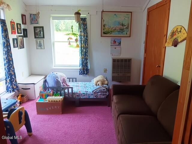 498 Hill Road Worcester NY 12197