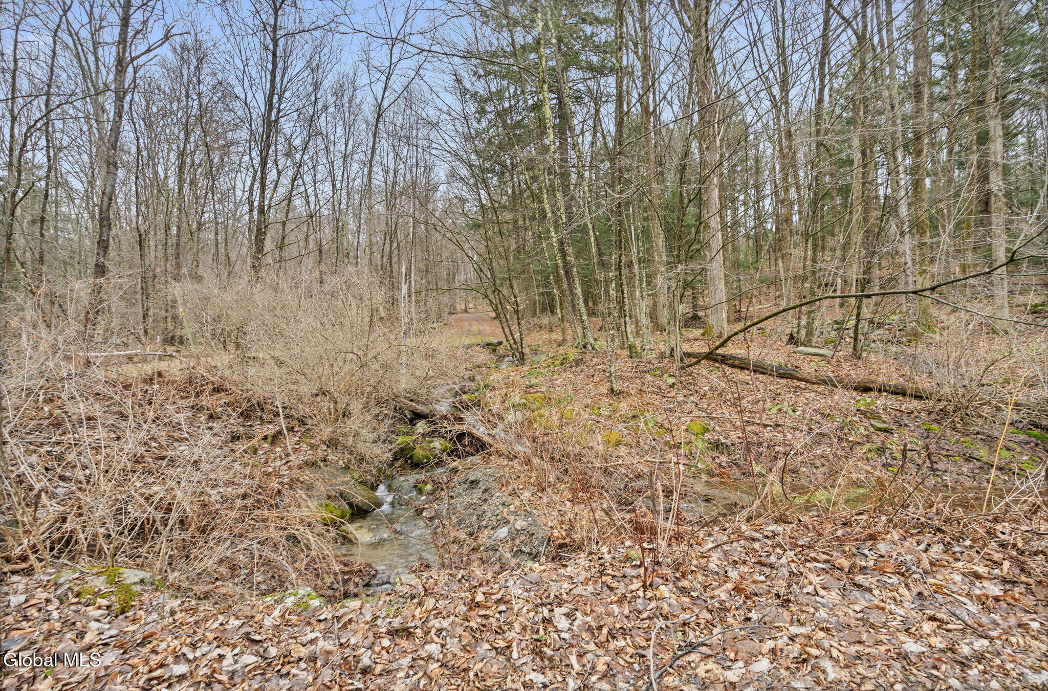 186 W Hand Hill Road East Nassau NY 12062