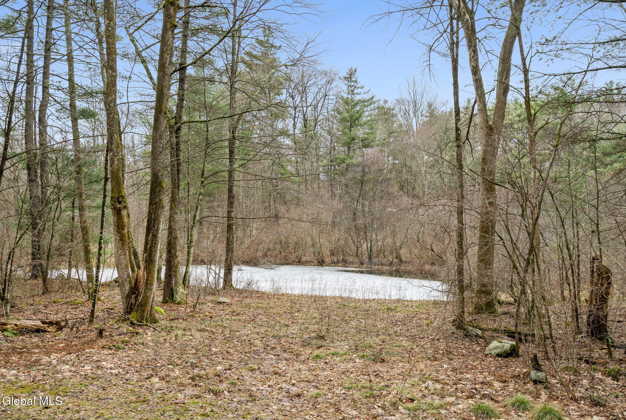 186 W Hand Hill Road East Nassau NY 12062
