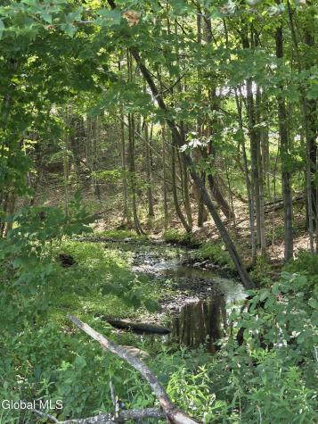 265 Longwoods Road Johnsonville NY 12094