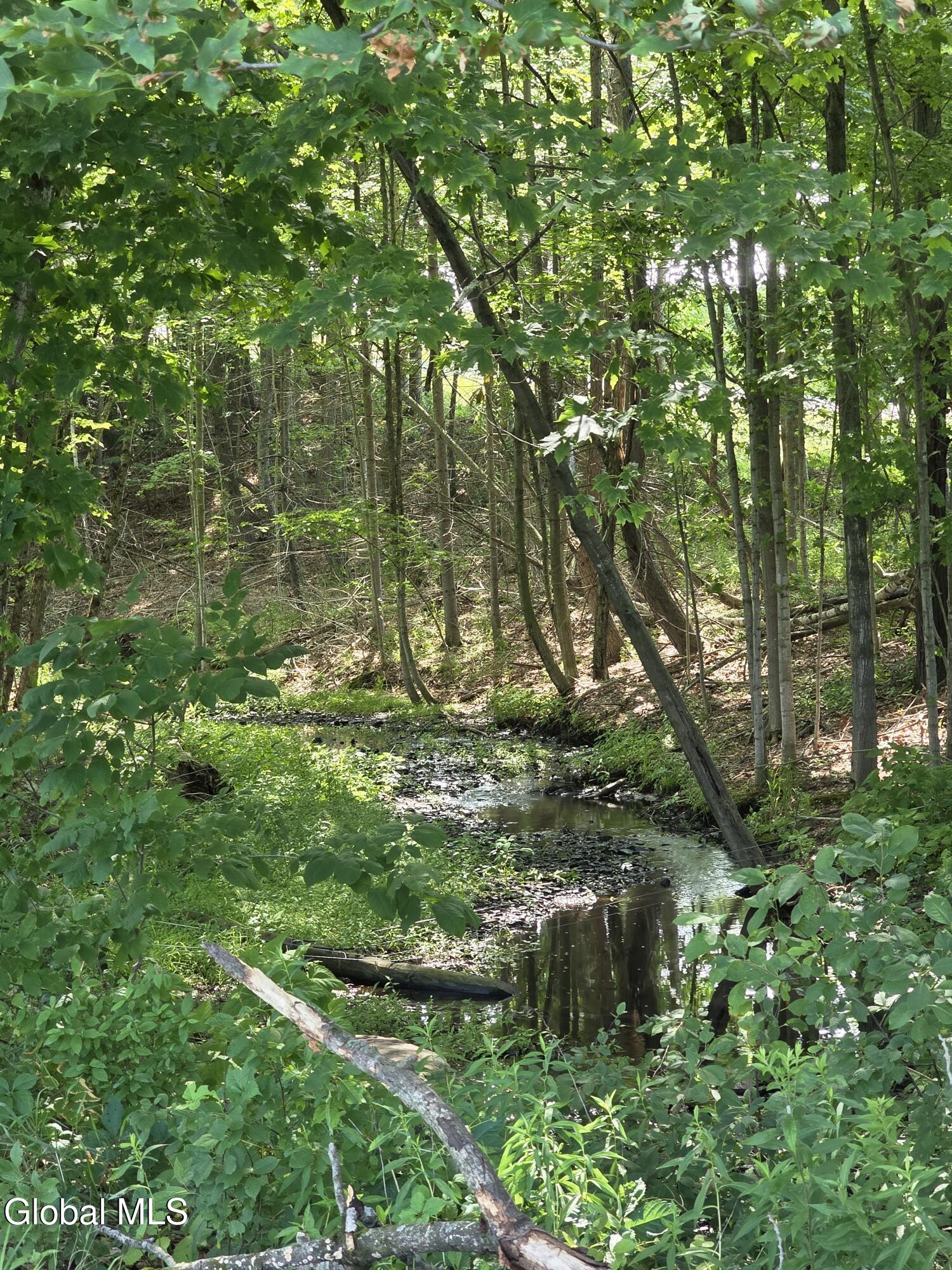 265 Longwoods Road Johnsonville NY 12094