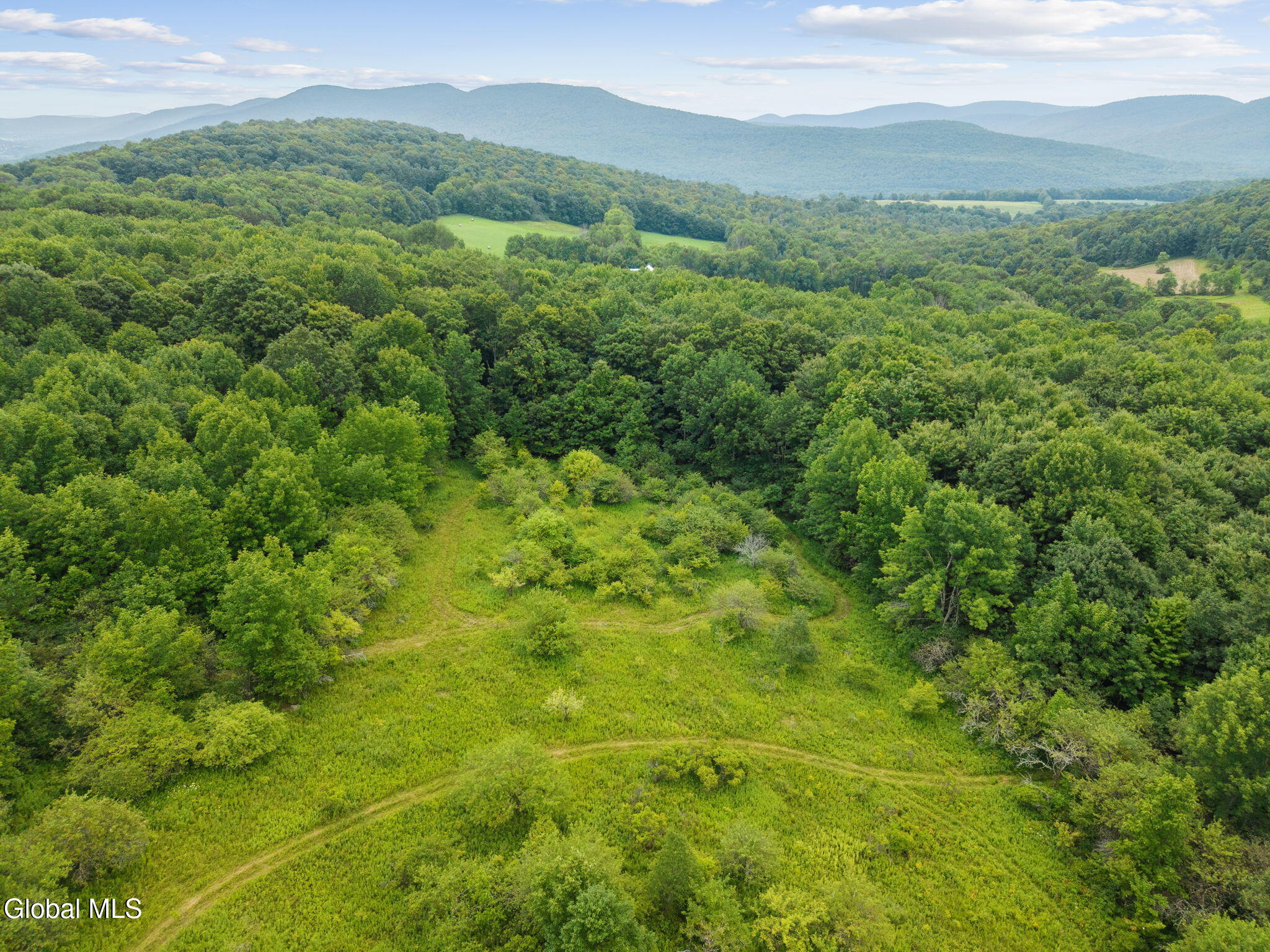 1123 Mcmurdy Hill Road Kortright NY 13739