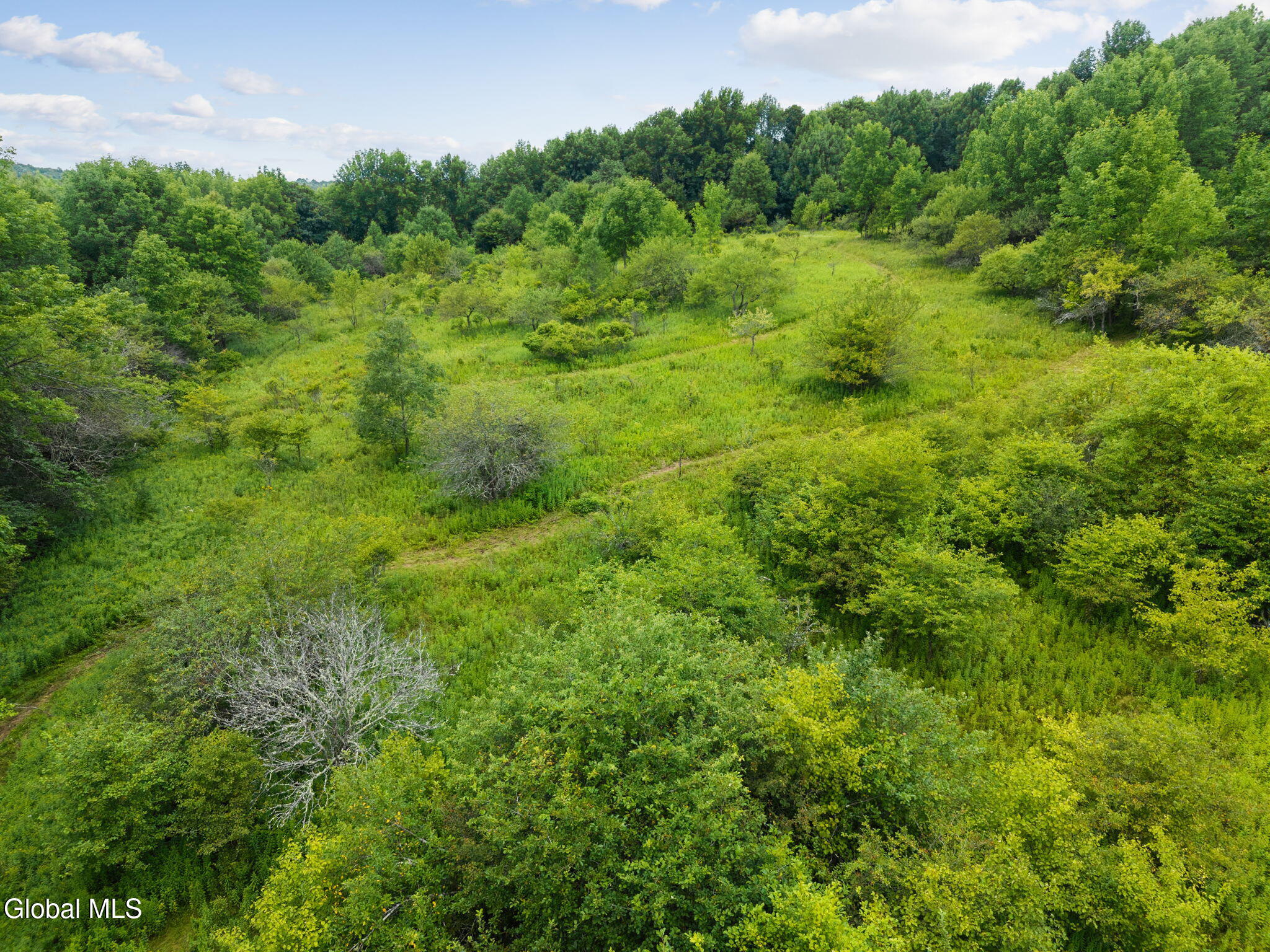 1123 Mcmurdy Hill Road Kortright NY 13739