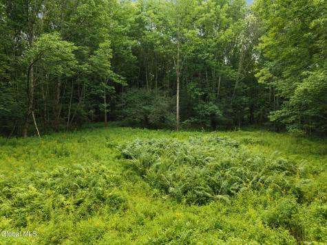 1123 Mcmurdy Hill Road Kortright NY 13739