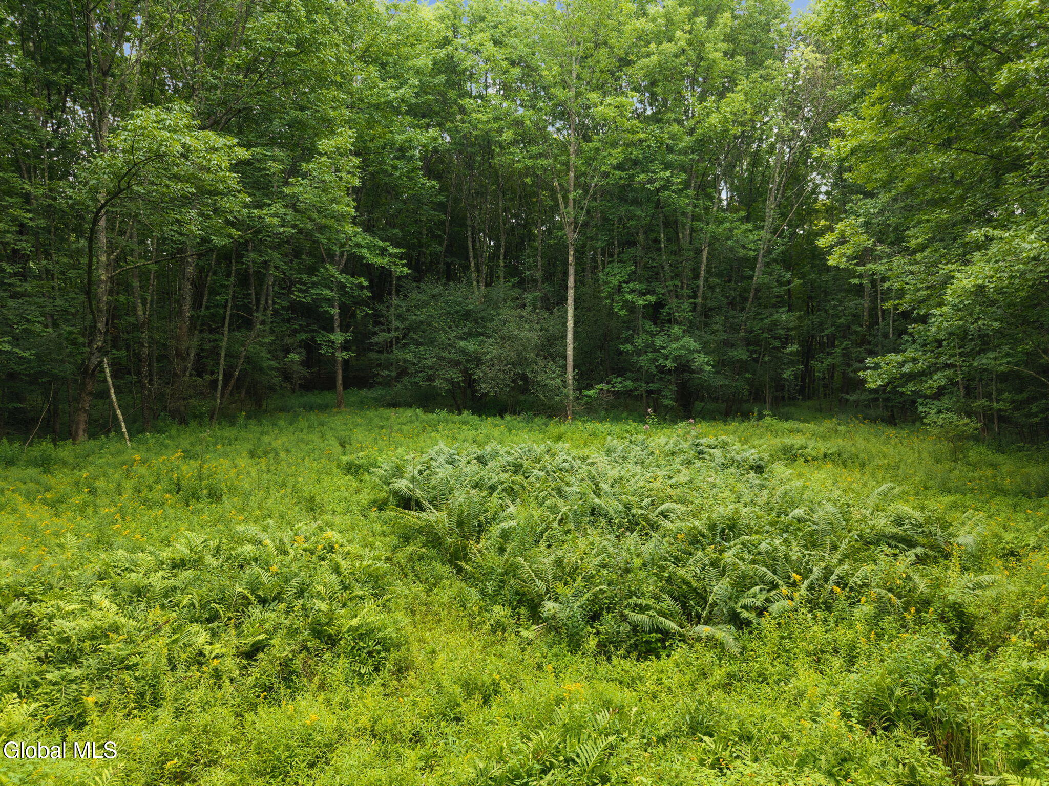 1123 Mcmurdy Hill Road Kortright NY 13739