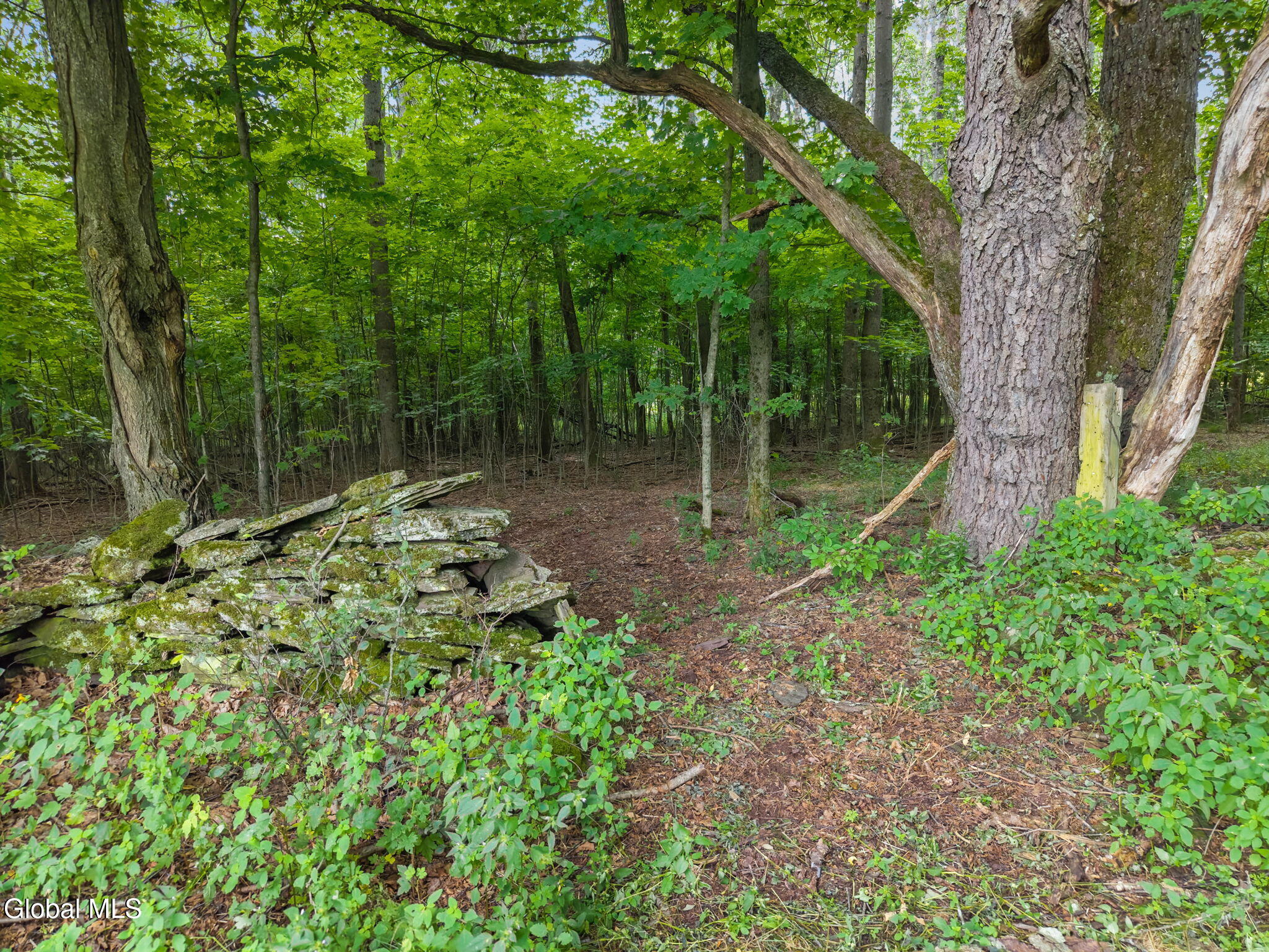 1123 Mcmurdy Hill Road Kortright NY 13739