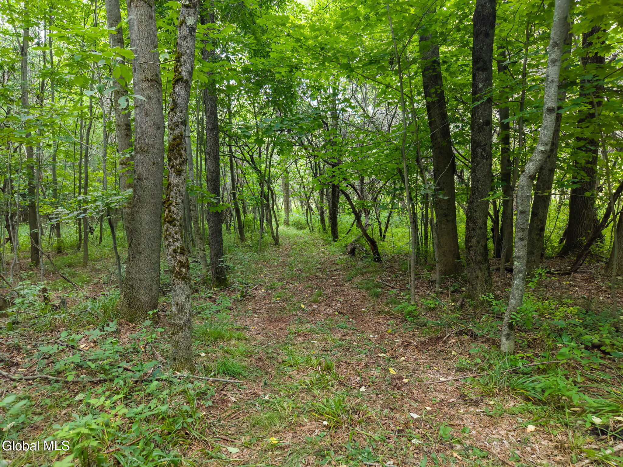 1123 Mcmurdy Hill Road Kortright NY 13739
