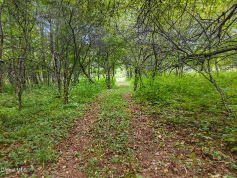1123 Mcmurdy Hill Road Kortright NY 13739
