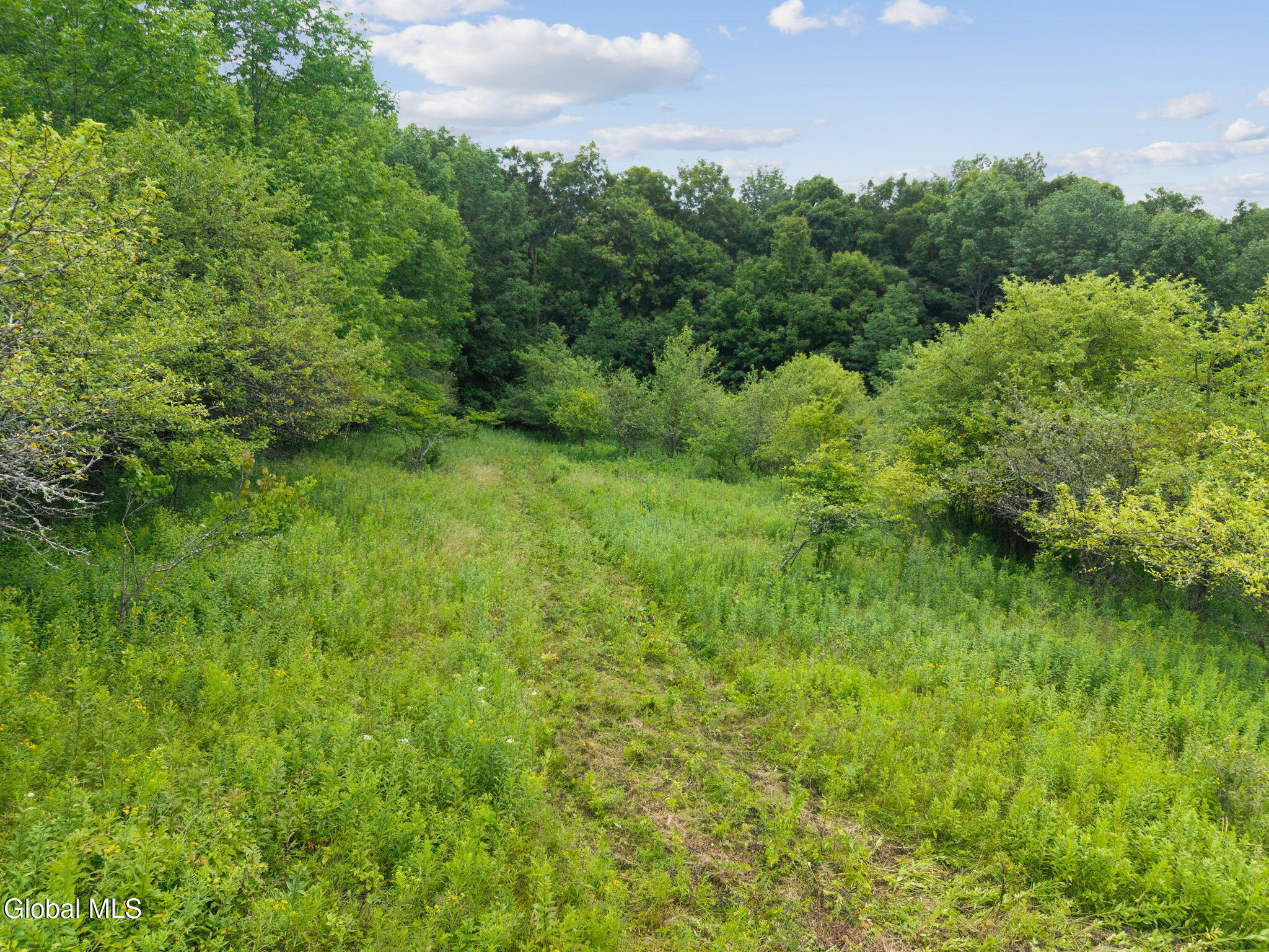 1123 Mcmurdy Hill Road Kortright NY 13739