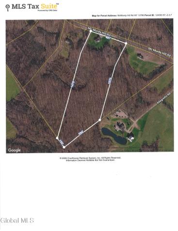 1123 Mcmurdy Hill Road Kortright NY 13739