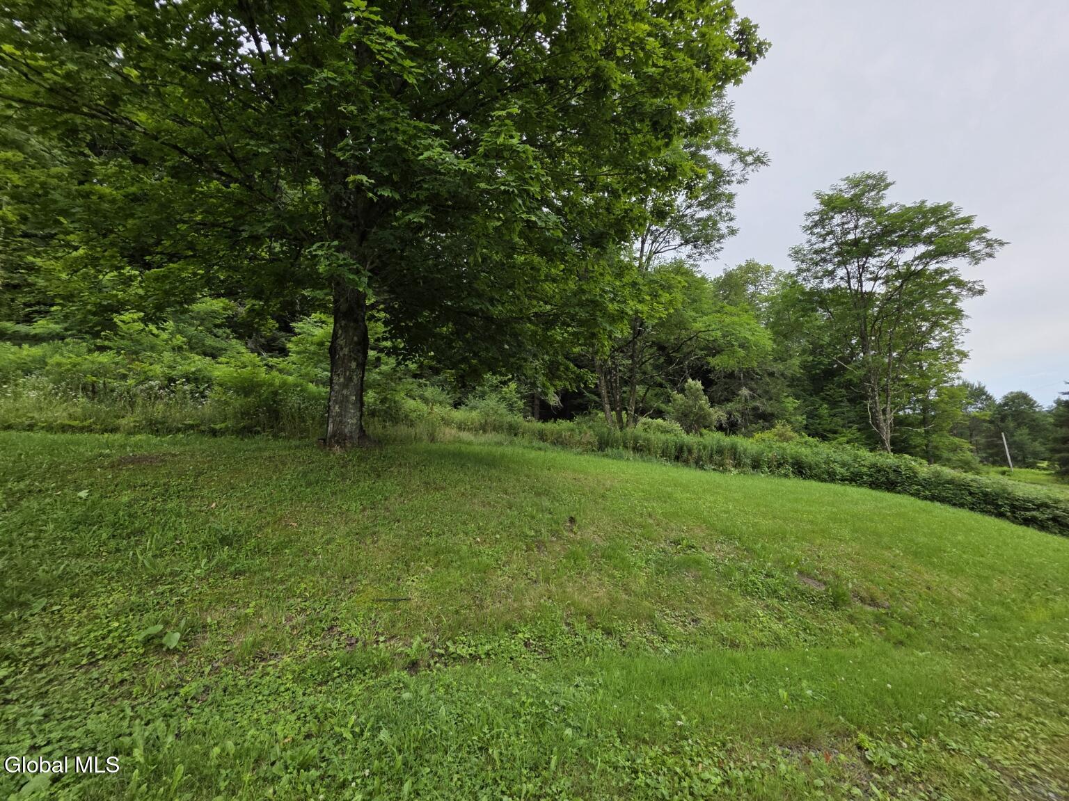 762 County Highway 16 Mount Vision NY 13415