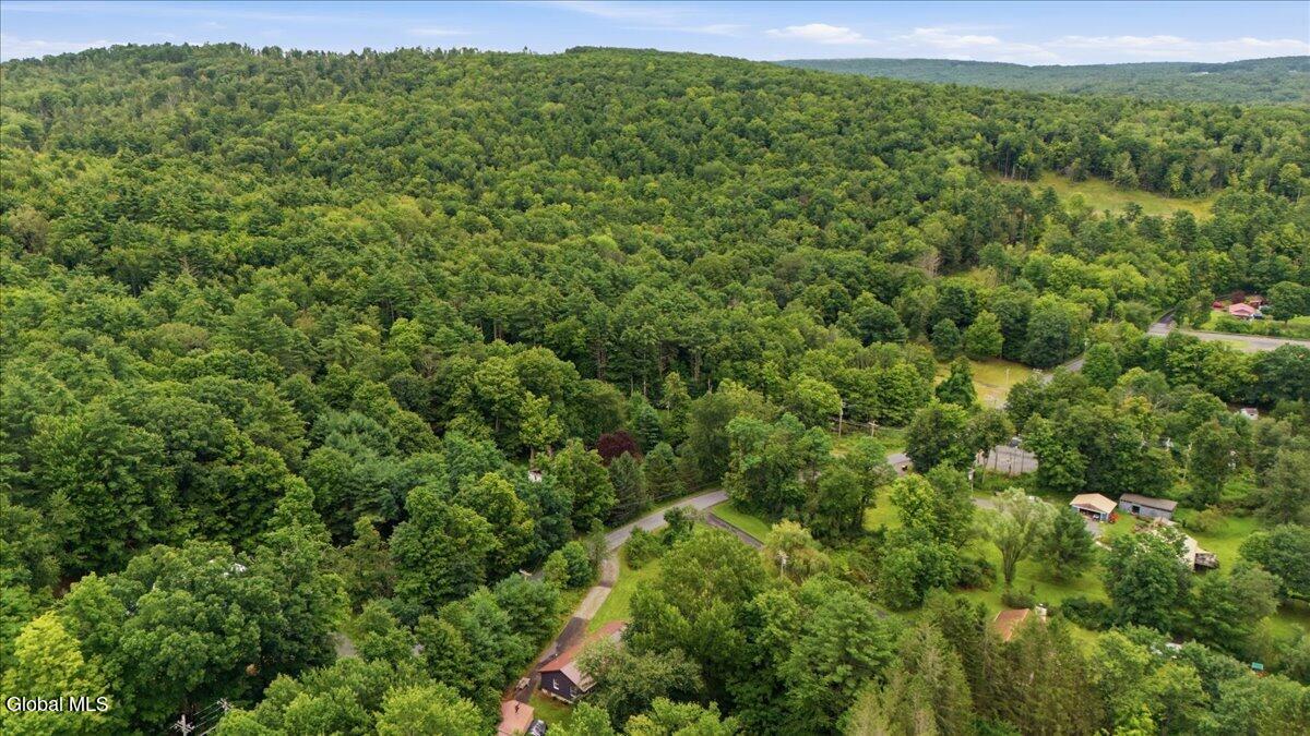 41 Uphams Corners Road East Nassau NY 12062