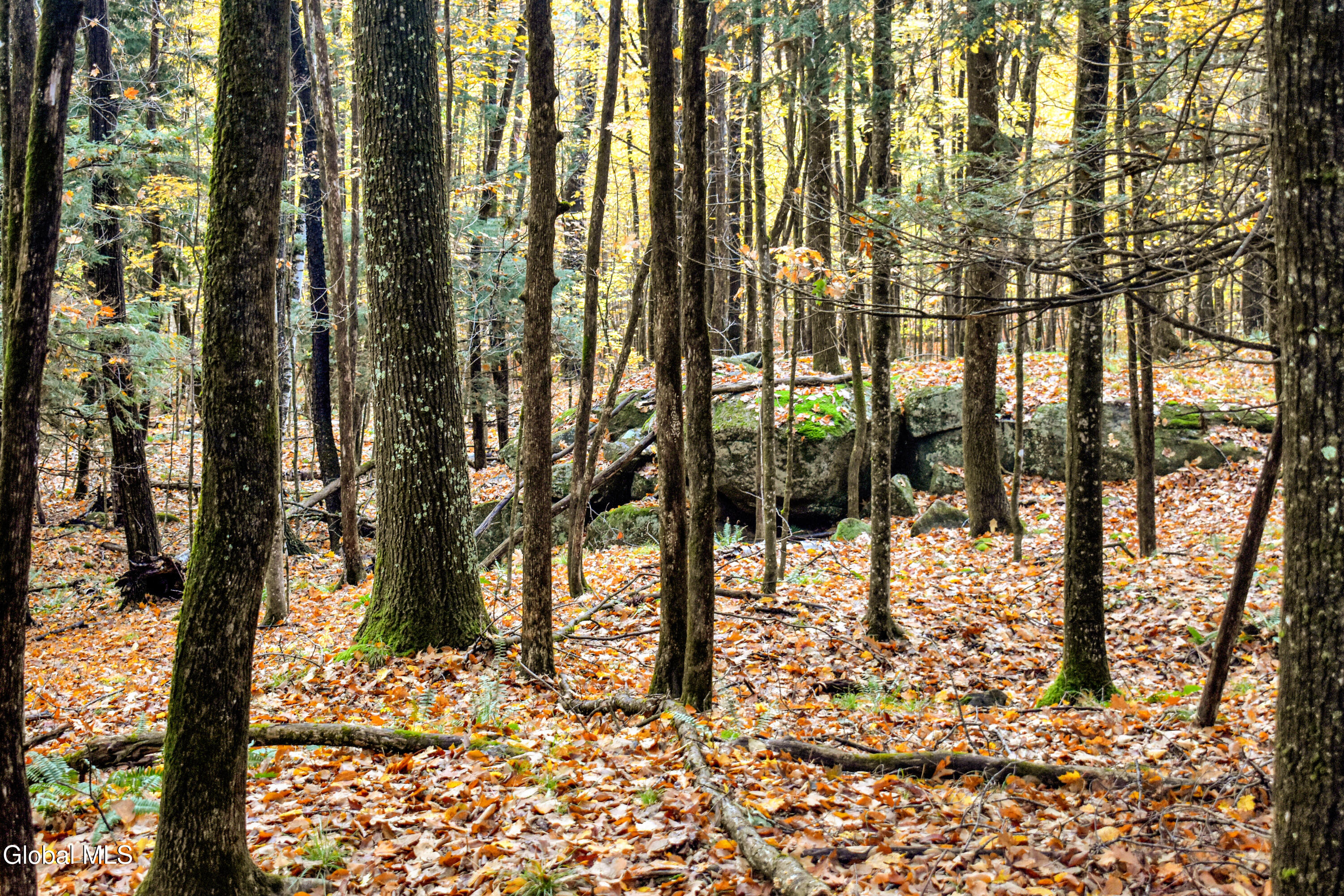 2059 N Garnet Lake Road Johnsburg NY 12843