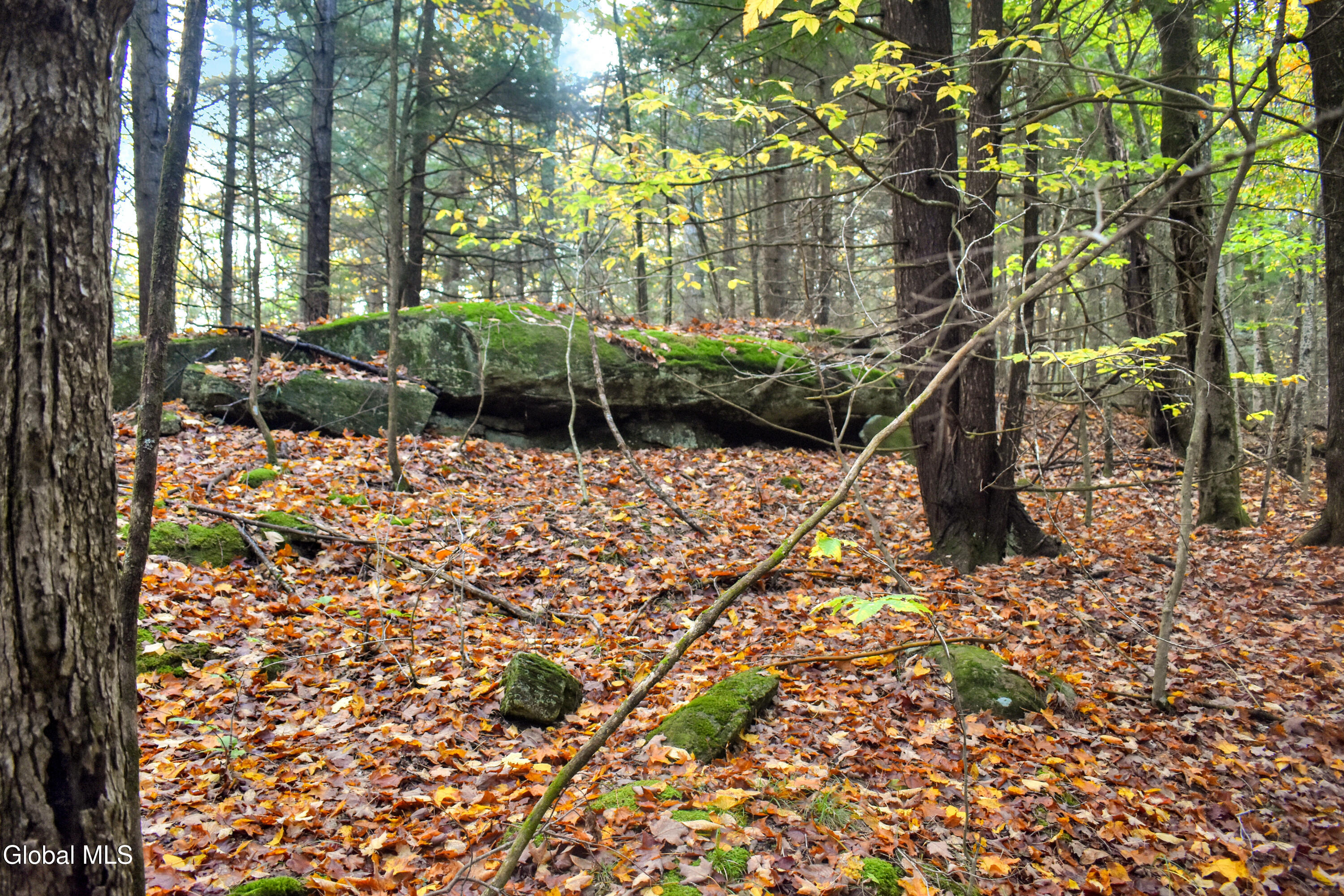 2059 N Garnet Lake Road Johnsburg NY 12843