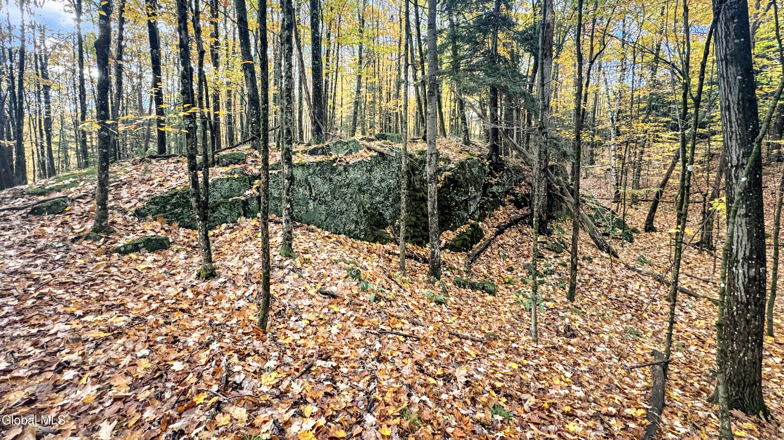 2059 N Garnet Lake Road Johnsburg NY 12843
