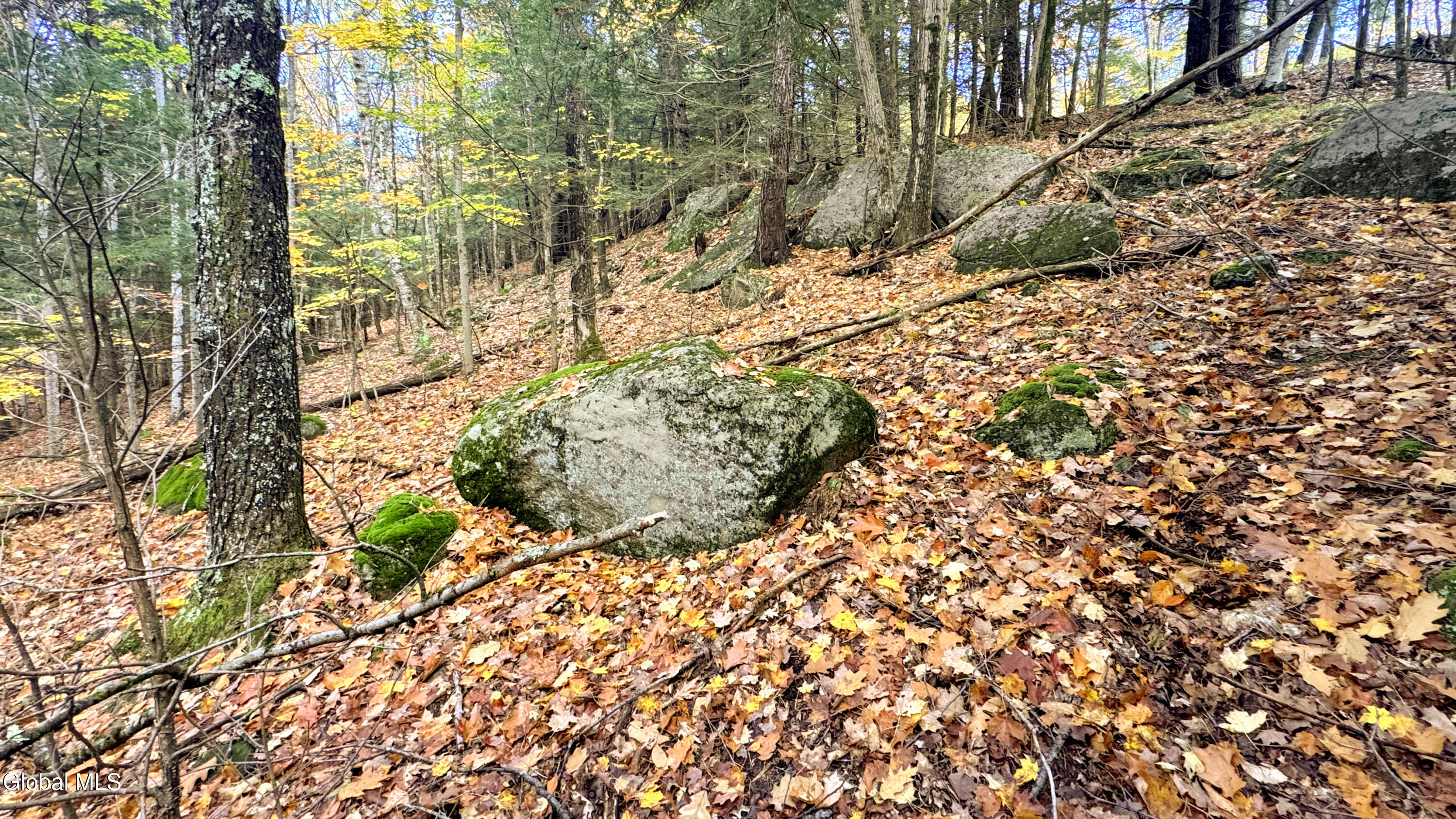 2059 N Garnet Lake Road Johnsburg NY 12843