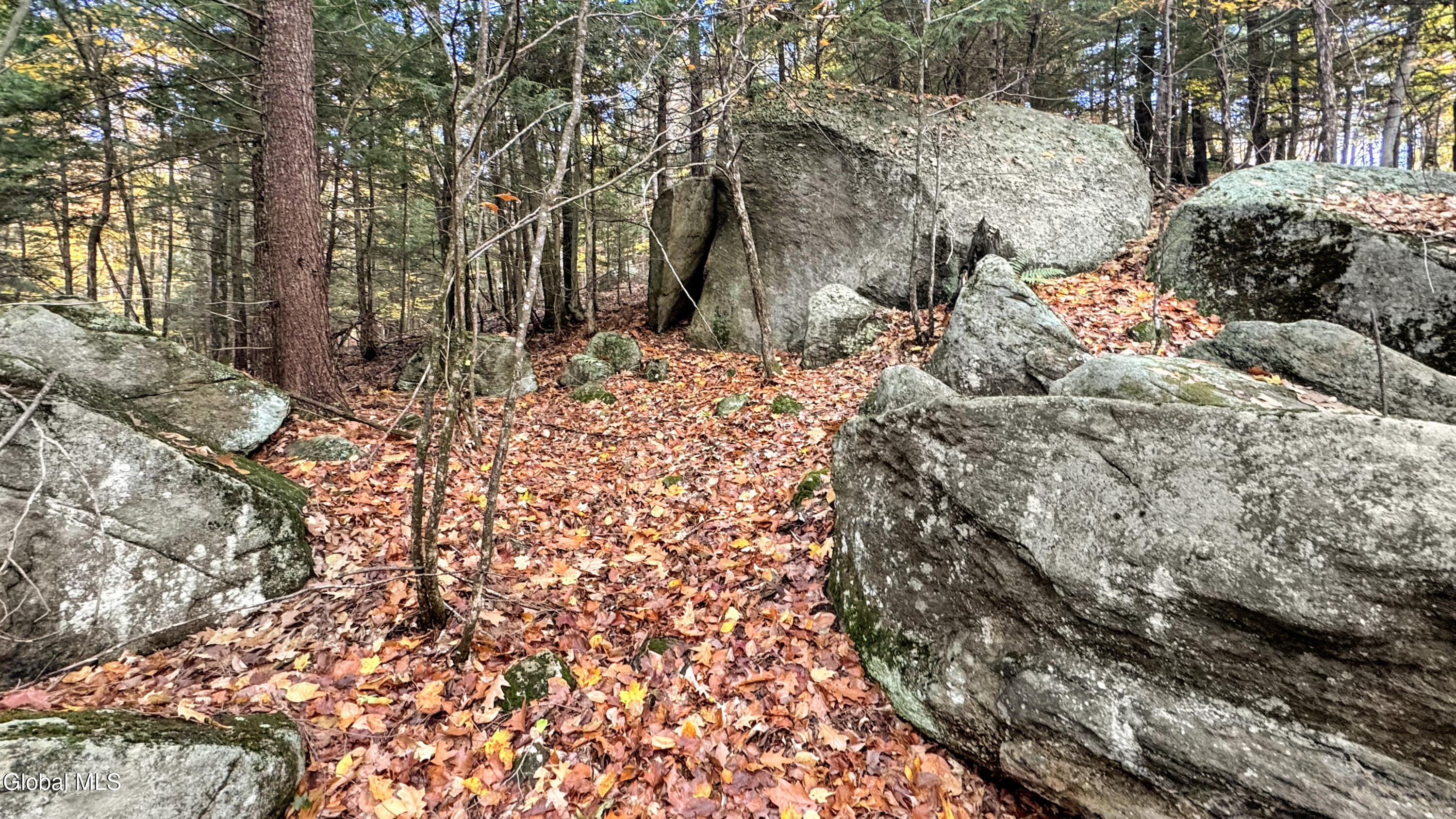 2059 N Garnet Lake Road Johnsburg NY 12843