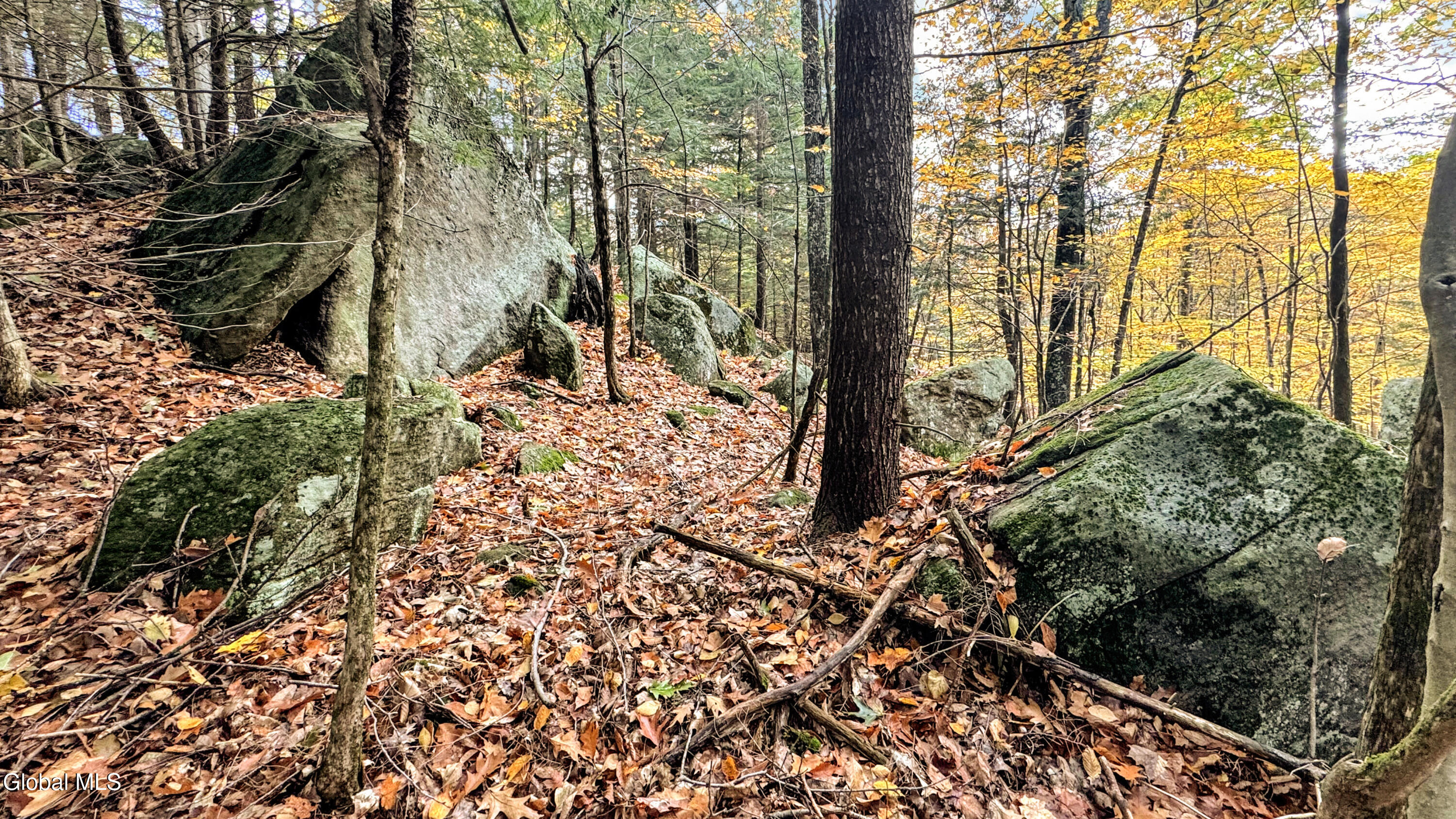 2059 N Garnet Lake Road Johnsburg NY 12843