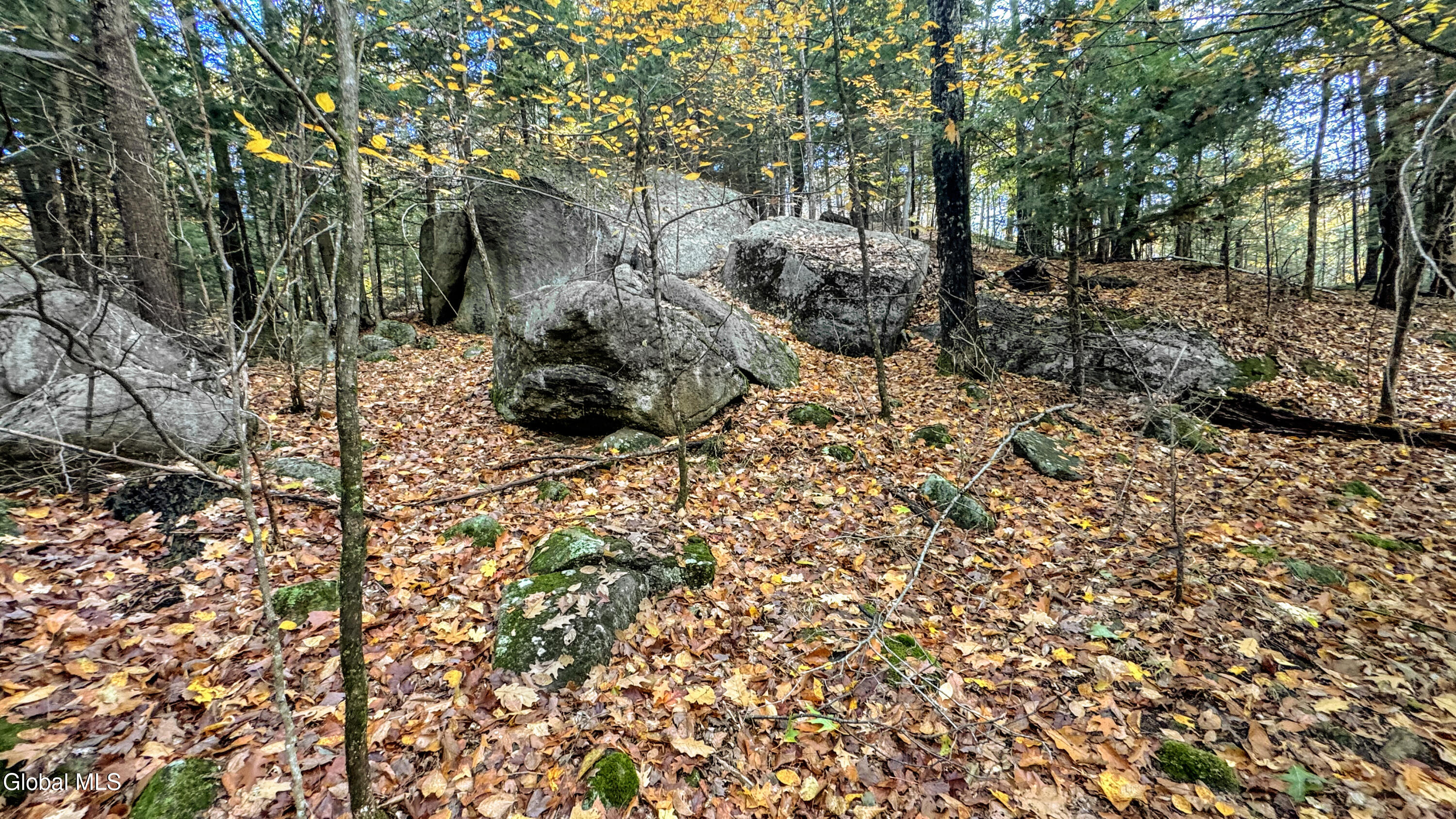 2059 N Garnet Lake Road Johnsburg NY 12843
