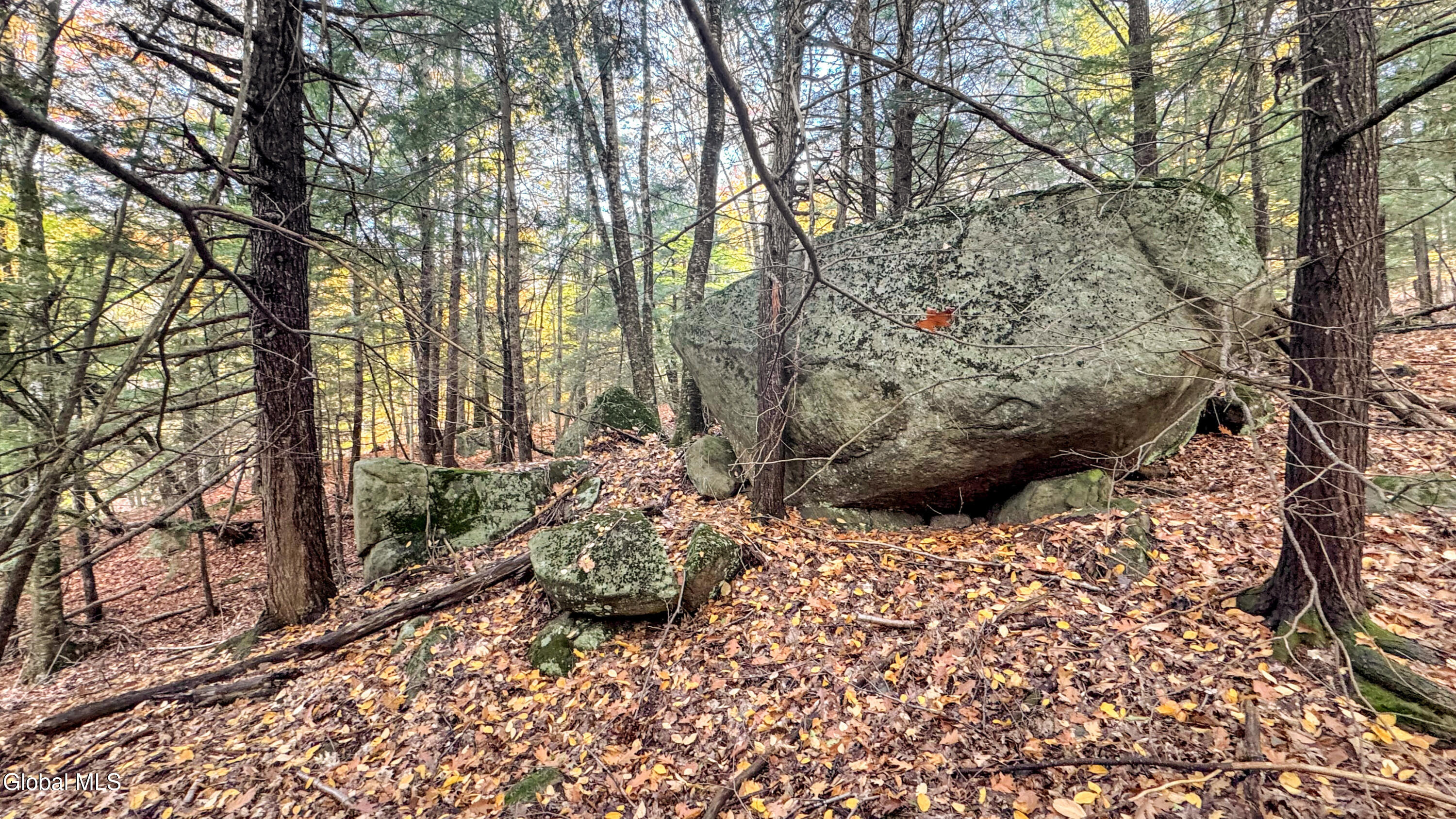 2059 N Garnet Lake Road Johnsburg NY 12843