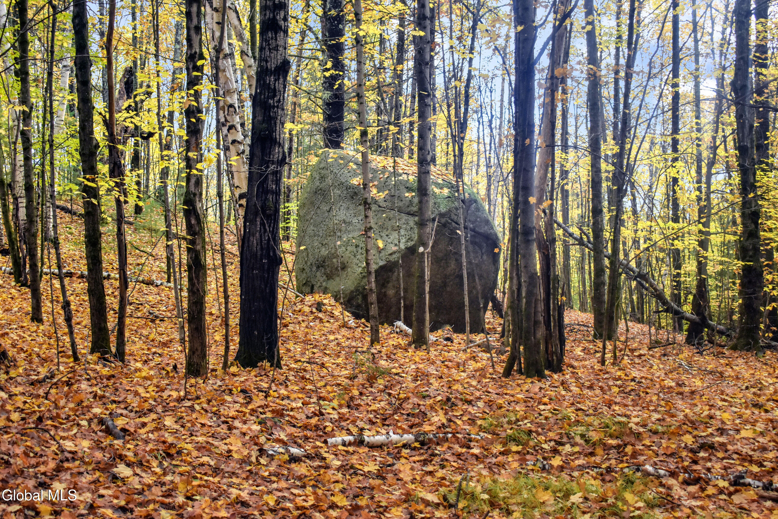 2059 N Garnet Lake Road Johnsburg NY 12843