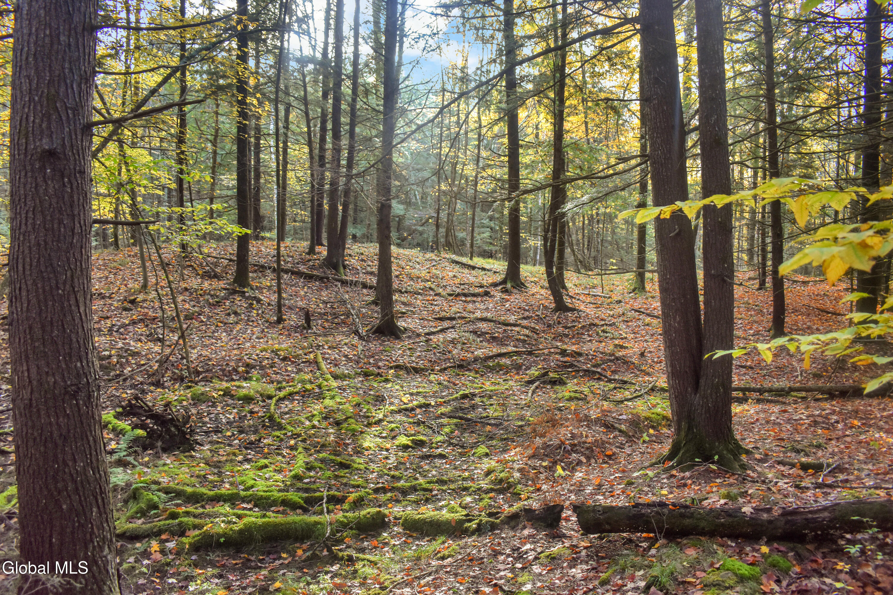 2059 N Garnet Lake Road Johnsburg NY 12843