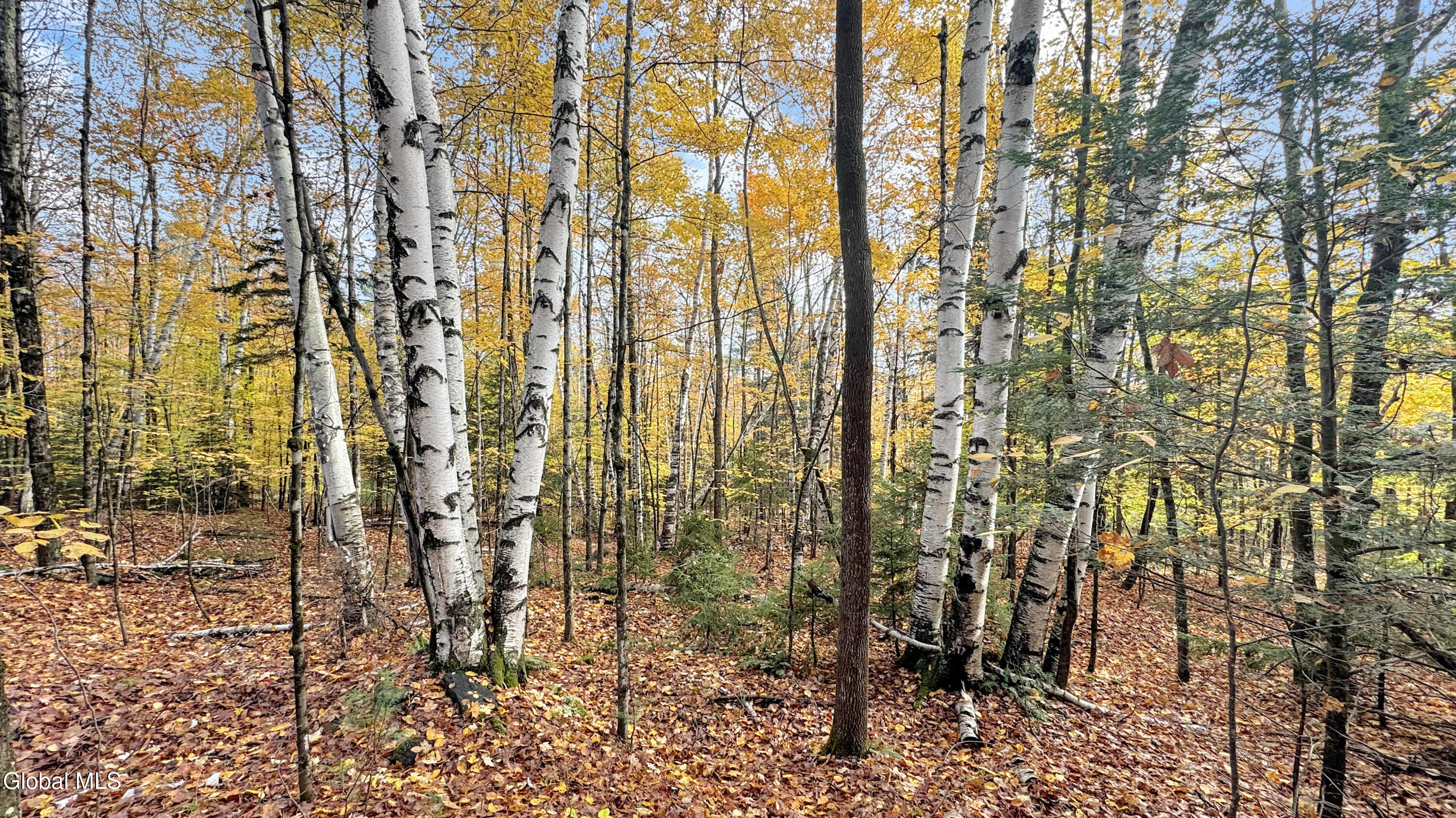 2059 N Garnet Lake Road Johnsburg NY 12843