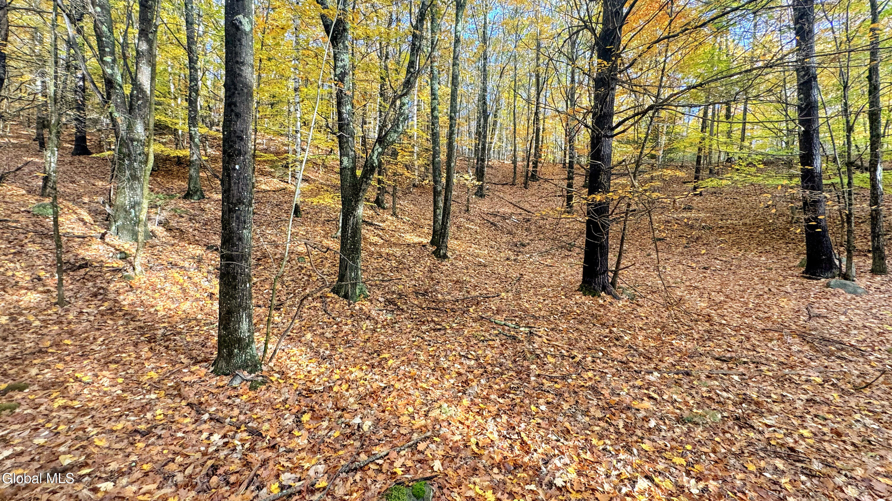 2059 N Garnet Lake Road Johnsburg NY 12843