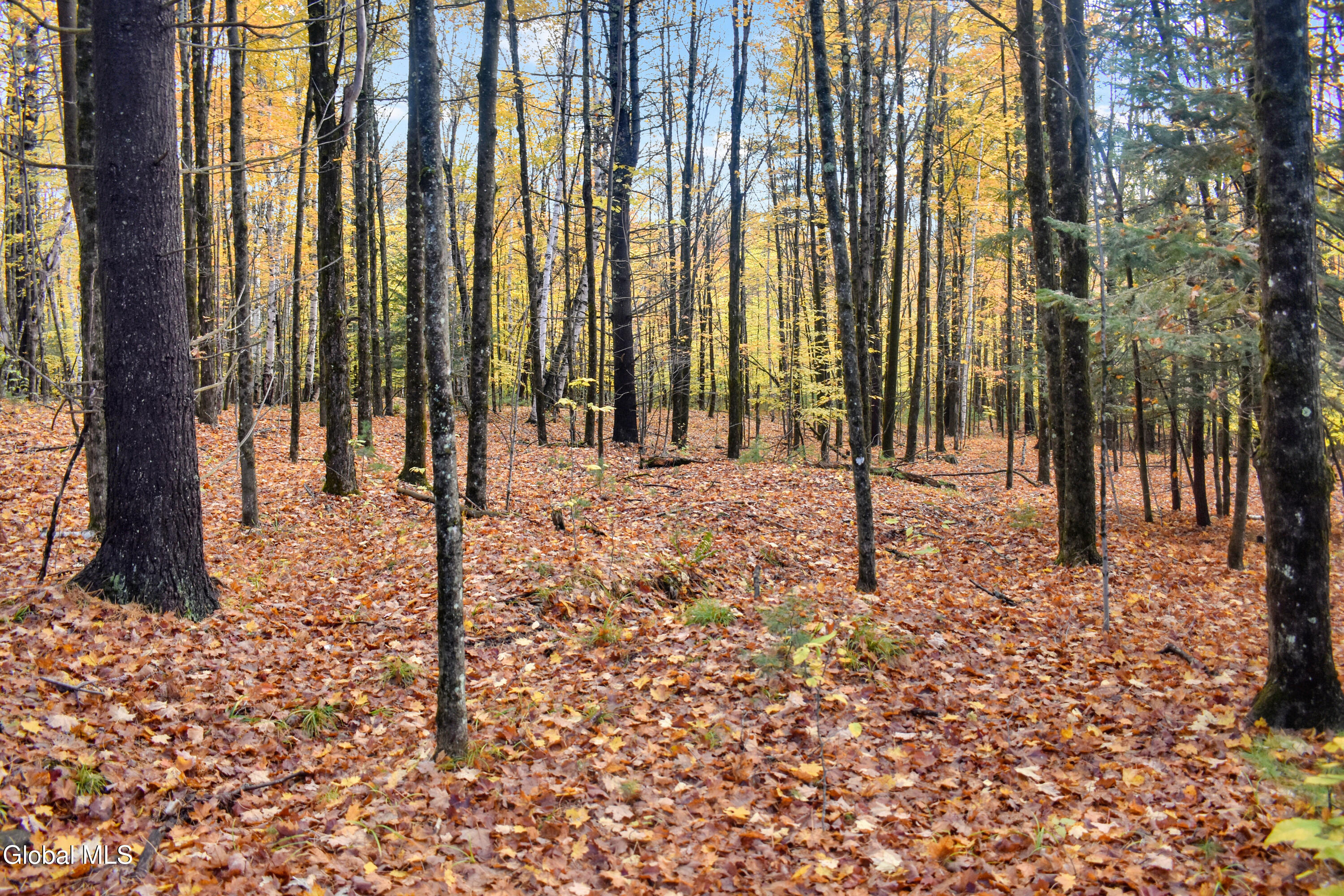 2059 N Garnet Lake Road Johnsburg NY 12843