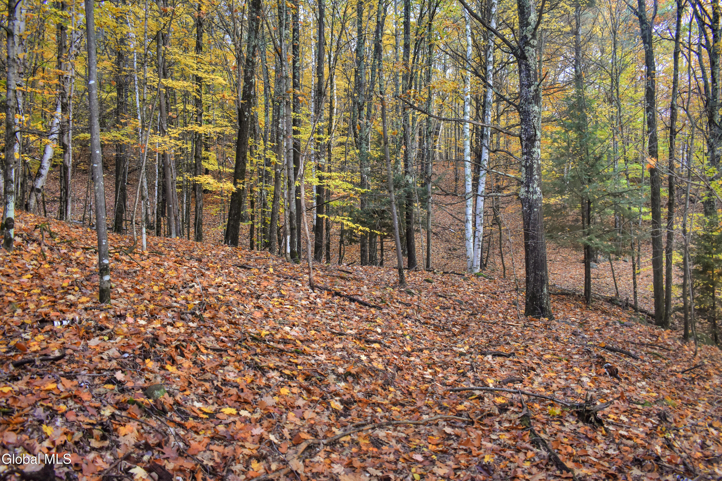 2059 N Garnet Lake Road Johnsburg NY 12843