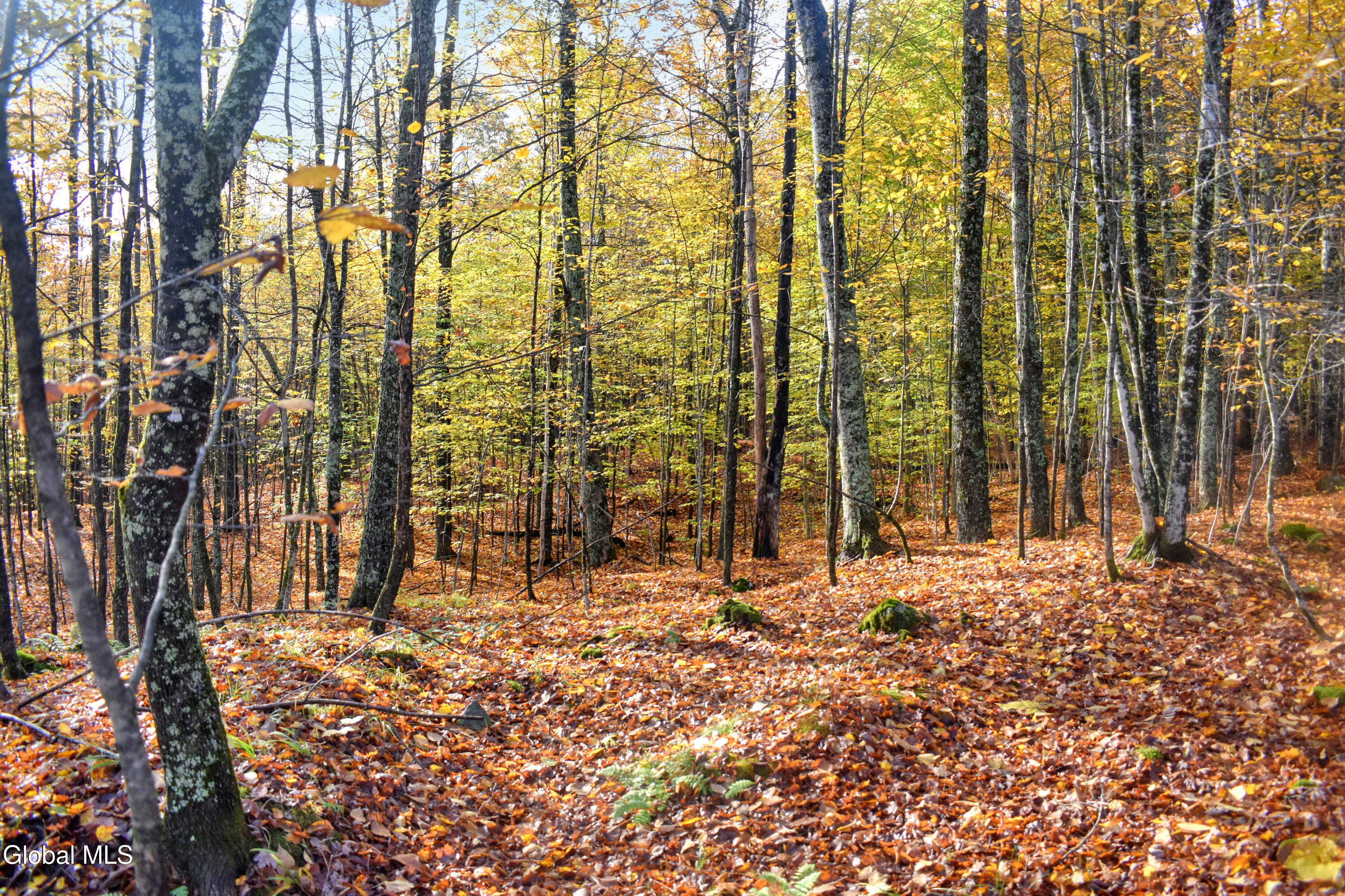2059 N Garnet Lake Road Johnsburg NY 12843