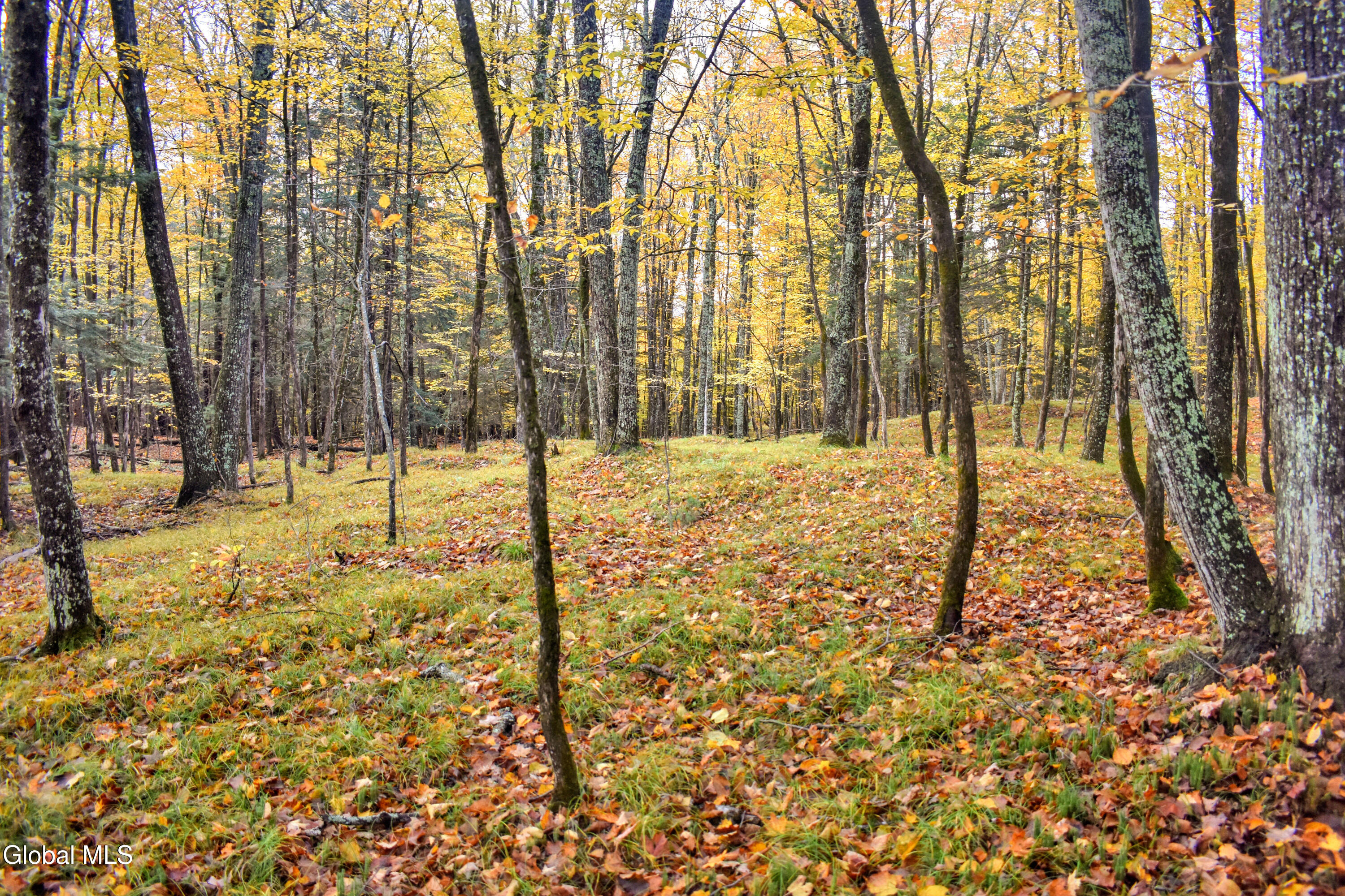 2059 N Garnet Lake Road Johnsburg NY 12843