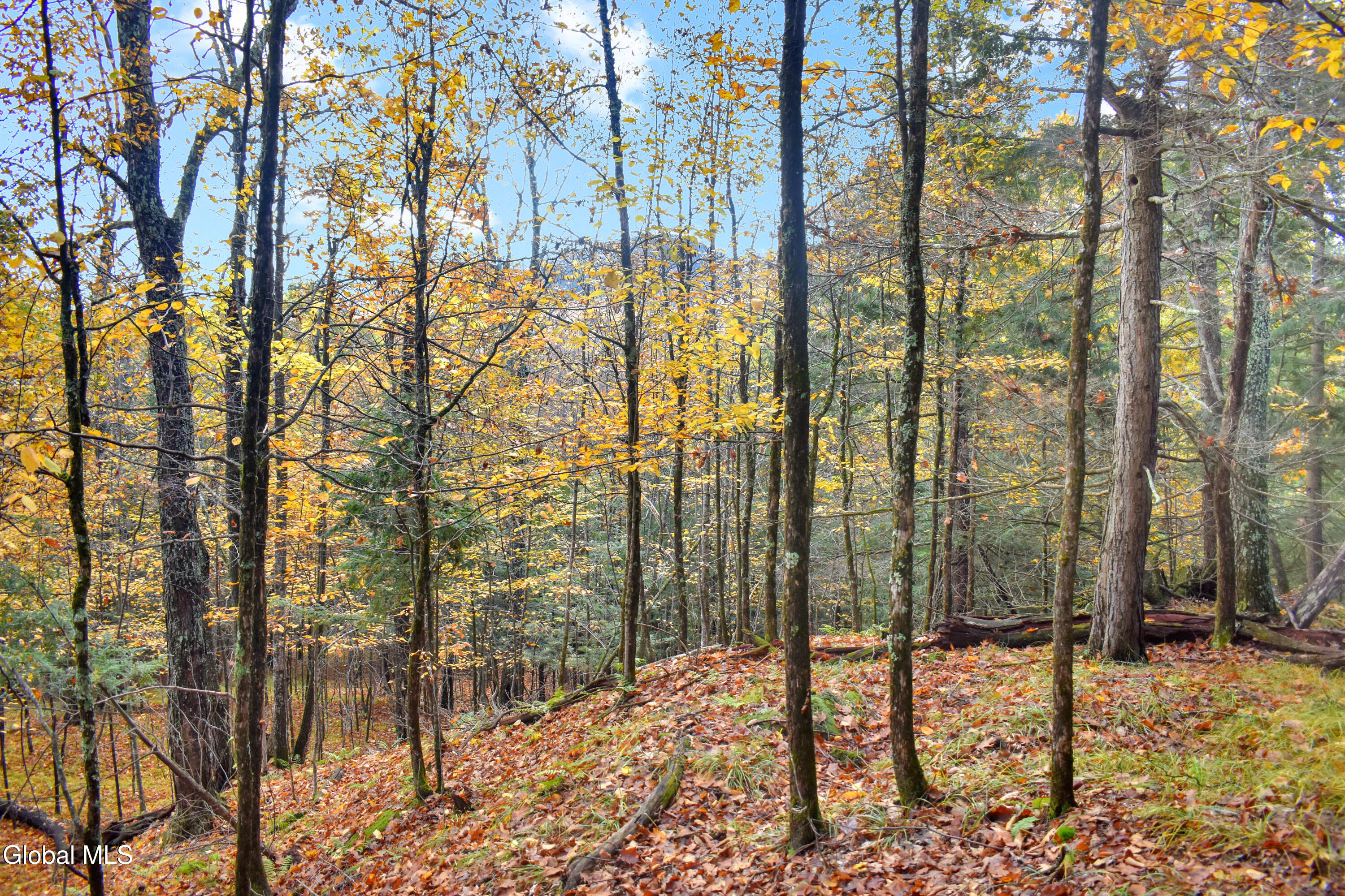 2059 N Garnet Lake Road Johnsburg NY 12843