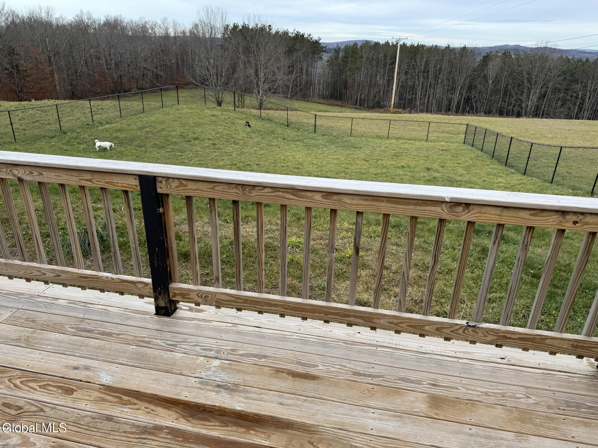 118 Stone Ridge Drive Charlotteville NY 12036