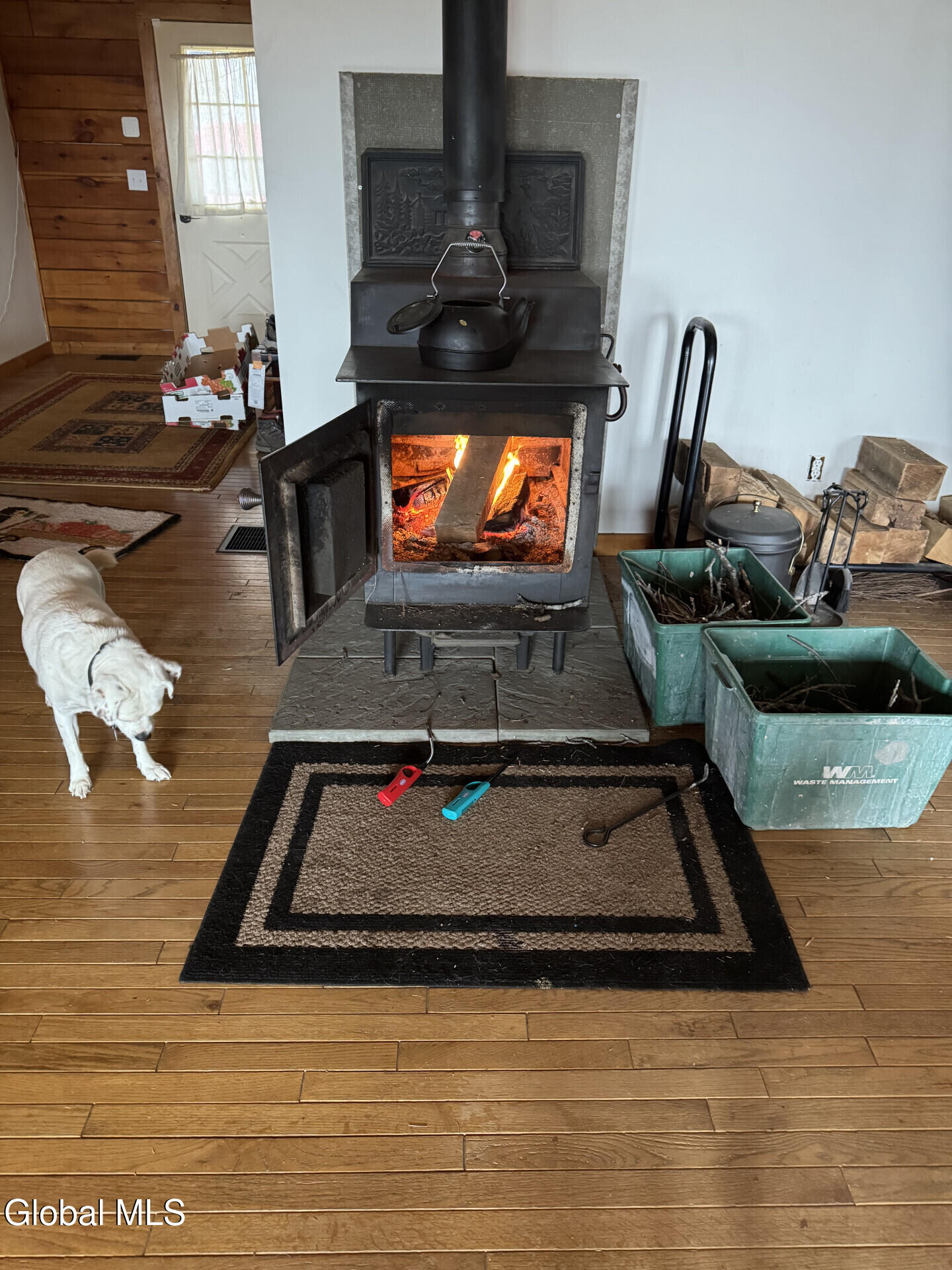 118 Stone Ridge Drive Charlotteville NY 12036