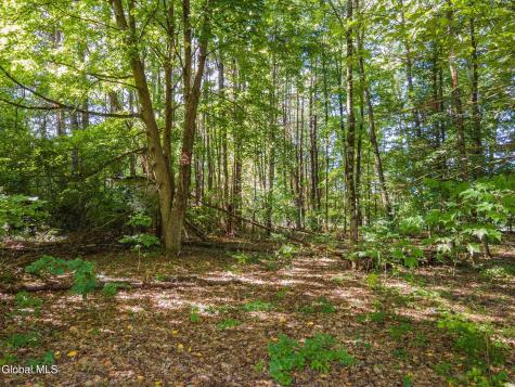 3 Pineridge Court Greenfield NY 12833