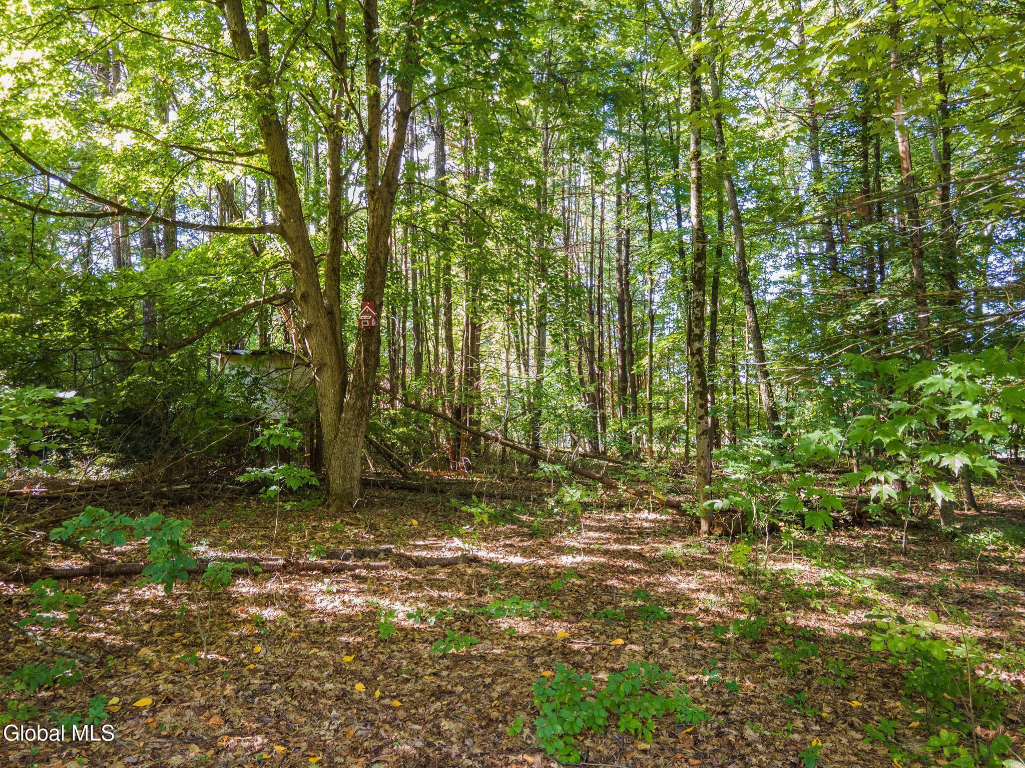 3 Pineridge Court Greenfield NY 12833