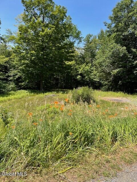 192 Fox Hill Road Northville NY 12134