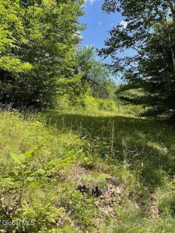 192 Fox Hill Road Northville NY 12134
