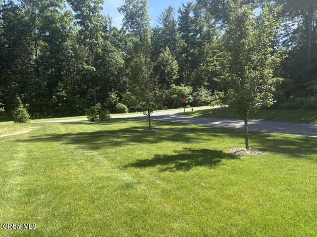 1410 Cosgrove Drive Charlton NY 12302