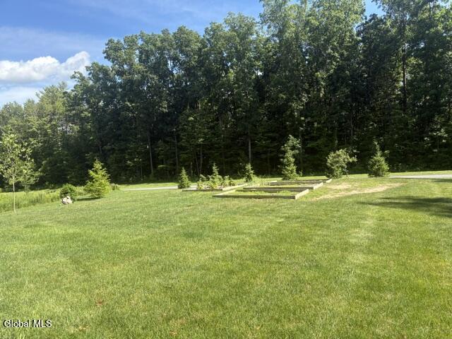 1410 Cosgrove Drive Charlton NY 12302