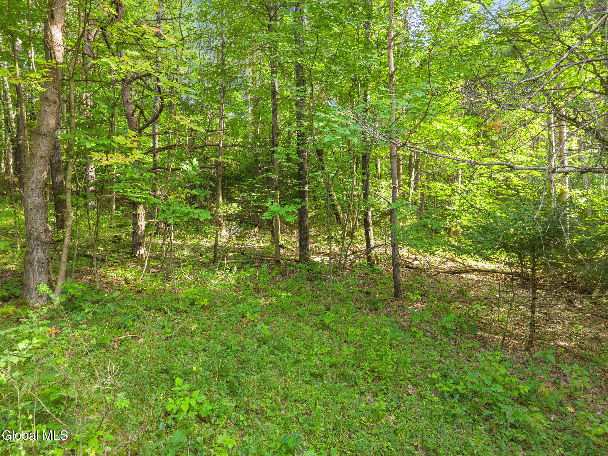 128 Himmel Lane Richmondville NY 12149