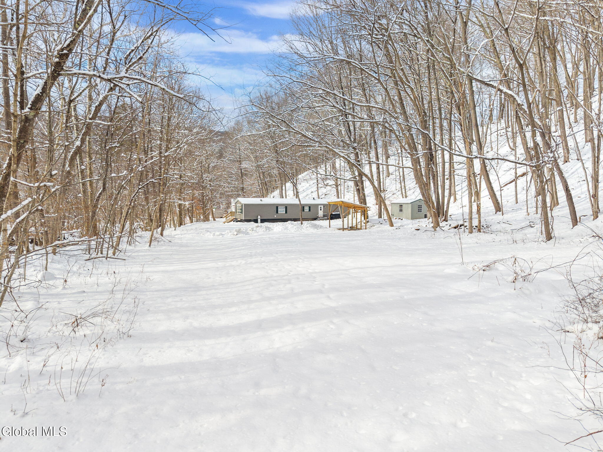 2996 Ny-145 Preston Hollow NY 12469
