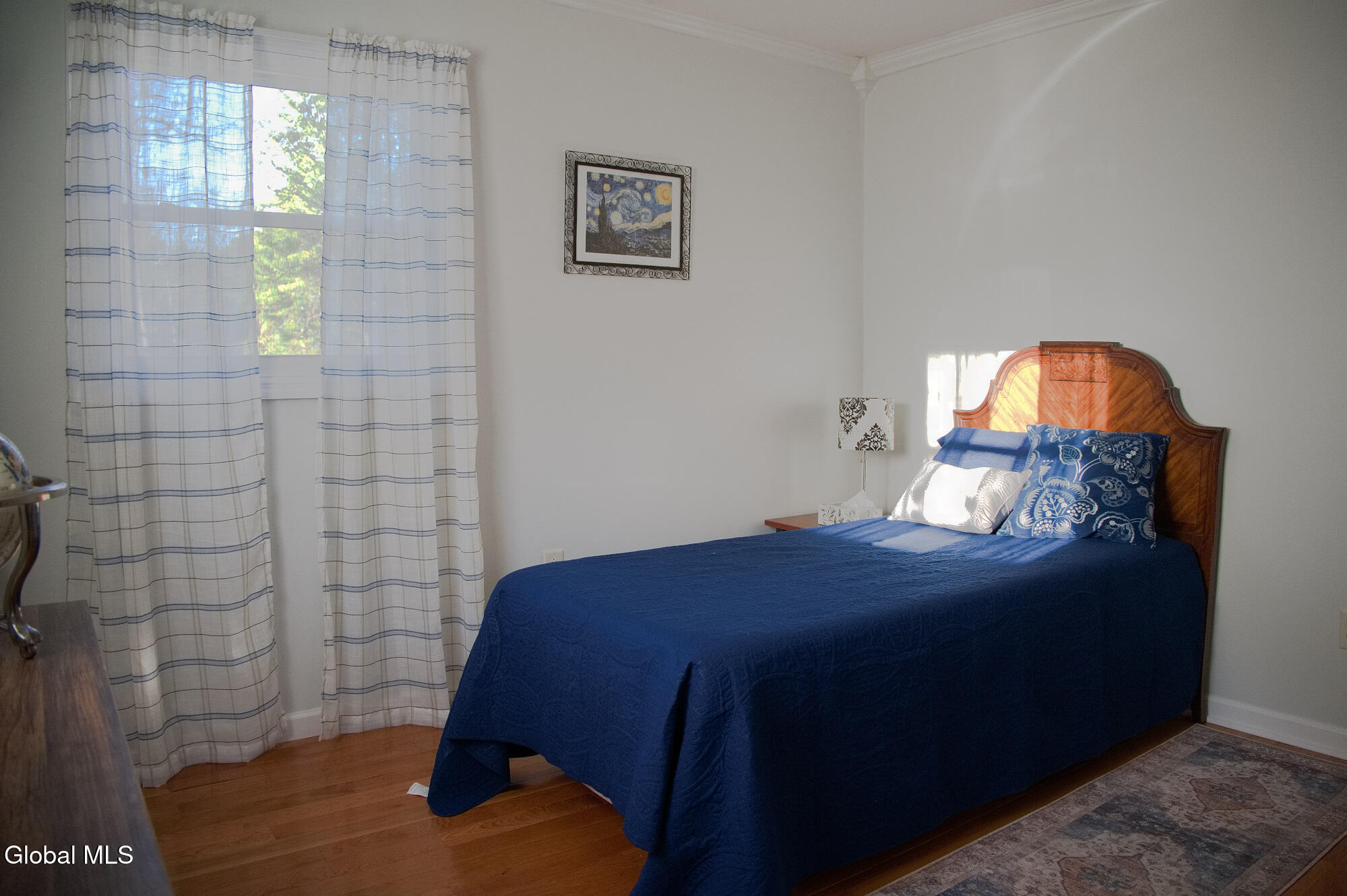 9 Hopeful Lane Gansevoort NY 12831