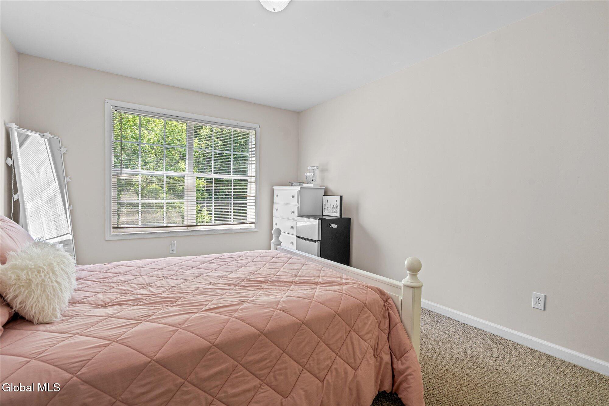 6 Lenca Court Wilton NY 12831