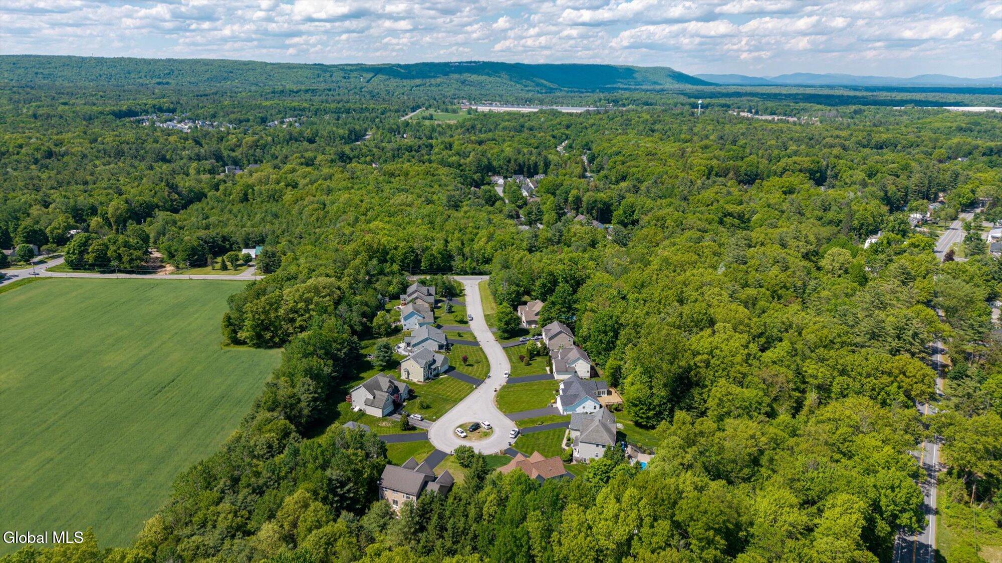 6 Lenca Court Wilton NY 12831