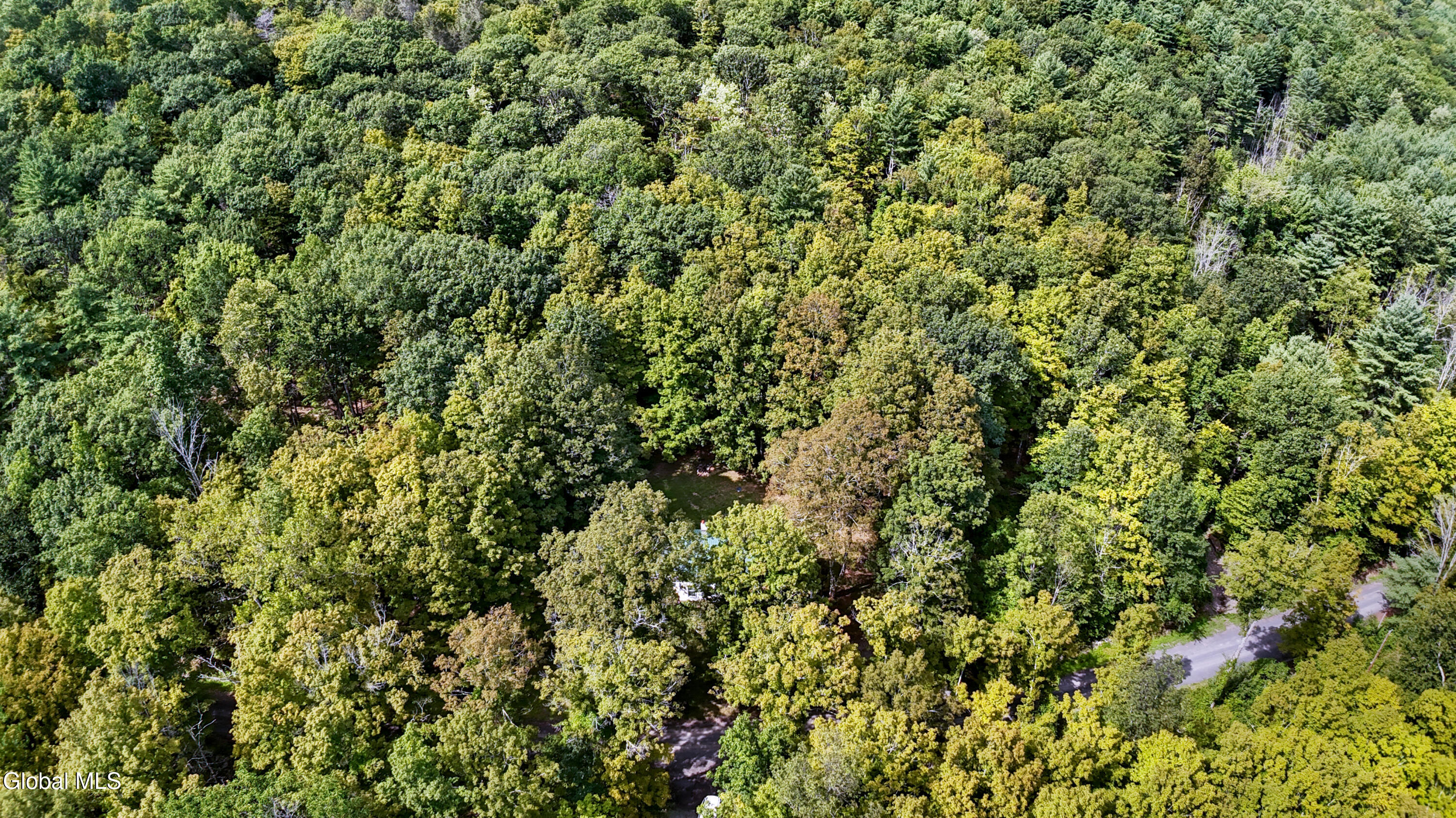 200 Davis Mount Road Oak Hill NY 12469